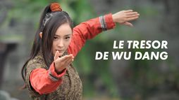 Wudang Masters