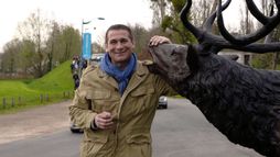 Les plus de Seasons Hebdo