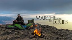 Marche avec les loups