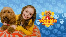 Waffle, le chien waouh