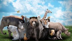 Des animaux et des hommes