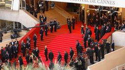 Quelques jours à Cannes 2026