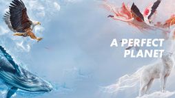 Une planète parfaite