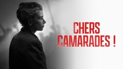 Chers camarades !