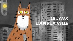 Le lynx dans la ville