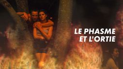 Le Phasme et l'Ortie