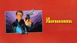 Le professionnel