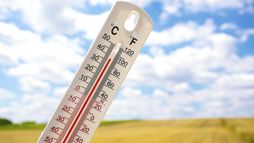 2050, climat : peut-on encore éviter le pire ?