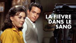 La fièvre dans le sang