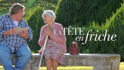 La tête en friche