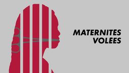 Maternités volées