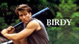 Birdy