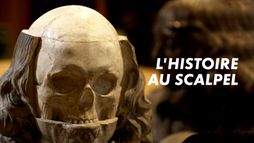 L'histoire au scalpel