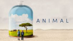 Animal
