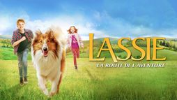 Lassie, La route de l'aventure