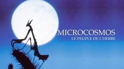 Microcosmos, le peuple de l'herbe