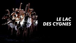Le Lac des cygnes