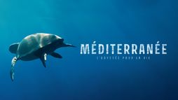 Méditerranée, l'odyssée pour la vie