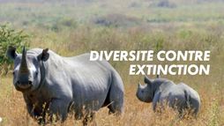 Diversité contre extinction : le grand défi de l'humanité