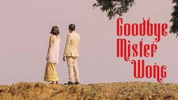 Goodbye Mister Wong