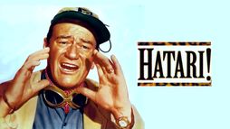 Hatari !