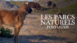 Les parcs naturels portugais