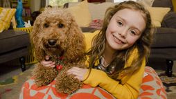 Waffle, le chien waouh - Saison 1