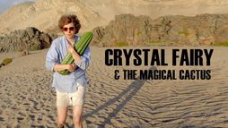 Crystal Fairy and the Magical Cactus