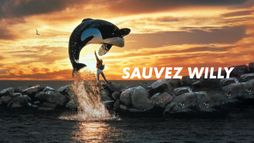 Sauvez Willy