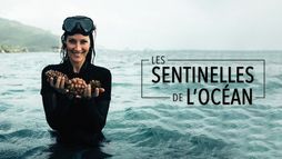 Les sentinelles de l'océan
