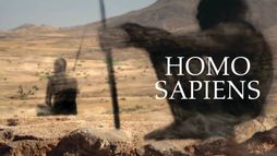 Homo sapiens, les nouvelles origines