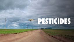 Pesticides: l'hypocrisie européenne