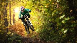 VTT : Grit and Glory