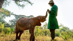 Une planète parfaite