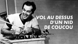 Vol au-dessus d'un nid de coucou