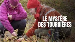 Le mystère des tourbières