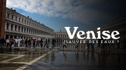 Sauver Venise