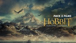 Pack 3 films LE HOBBIT (version longue)