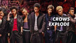 Crows Explode