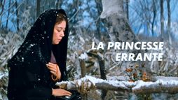 La Princesse errante