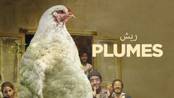 Plumes