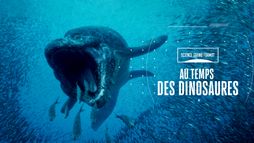 Au temps des dinosaures