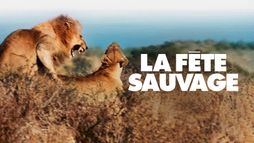 La fête sauvage