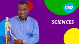 Cours de sciences CM2