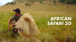 African Safari 3D