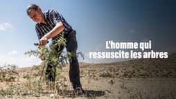 L'homme qui ressuscite les arbres