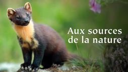 Natura Europa