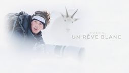 Yukon : Un rêve blanc