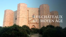 Les châteaux du Moyen Age