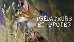 Prédateurs et proies : La faune de la péninsule Ibérique